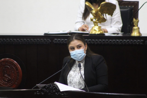 Propone Jajaira Aceves nueva Ley de Construcci&oacute;n para el Estado de Hidalgo, necesaria para fortalecer y proteger esta actividad tan importante.