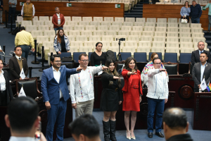 Congreso de Hidalgo plante&oacute; mayores sanciones al maltrato animal&nbsp;