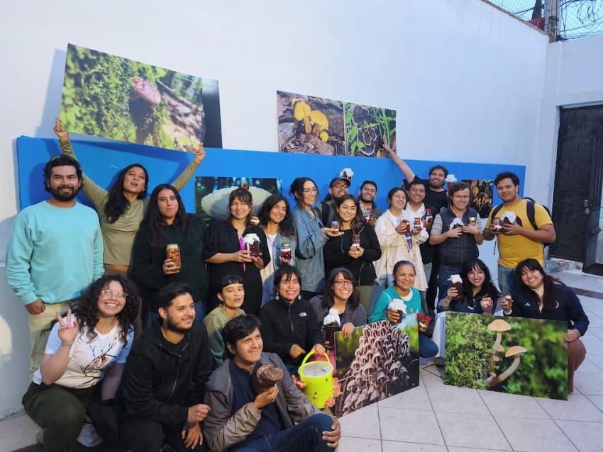 Festival Broto invita a reconectar con la naturaleza a través del reino Fungi