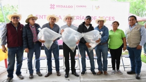 Acuicultores hidalguenses han recibido m&aacute;s de&nbsp;9 millones de cr&iacute;as de peces de diferentes especies