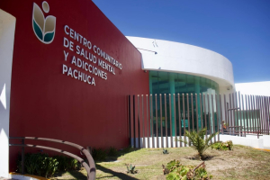 Invita la SSH a detectar y atender la depresi&oacute;n