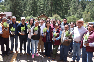 Inicia la restauración del Parque Nacional El Chico, tras plaga forestal