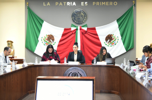 Se aprueba en Comisi&oacute;n los dict&aacute;menes enviados por el Senado en materia de Guardia Nacional y pueblos ind&iacute;genas&nbsp;