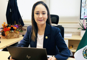 El trabajo legislativo es mucho m&aacute;s que presentar iniciativas  &nbsp;