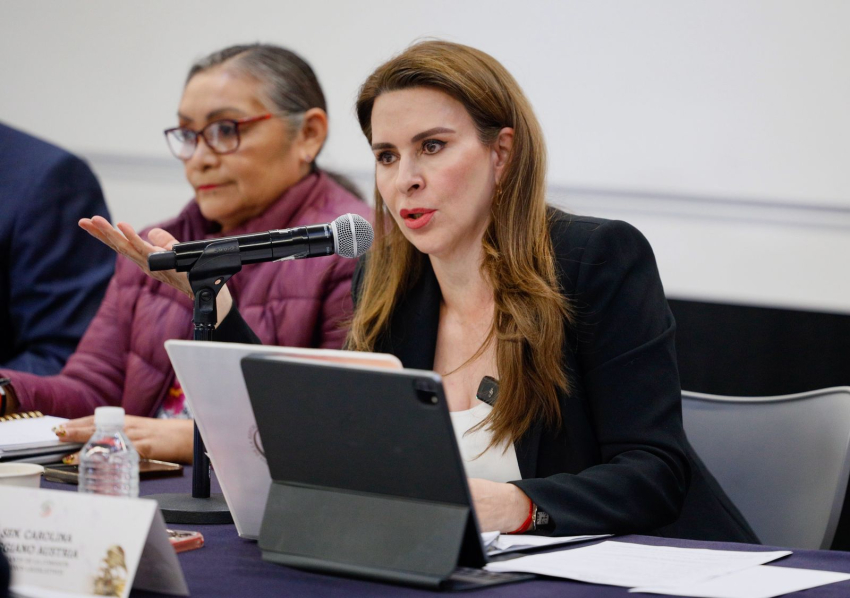 ley general para eliminar trámites burocráticos busca controlar a los mexicanos y tiene grave riesgo en materia de ciberseguridad: Carolina Viggiano    