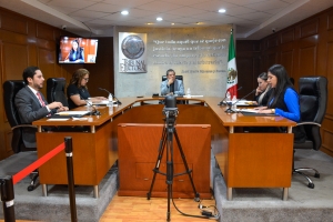 Se Confirma la Validez de Votación en el Municipio de El Arenal, Hidalgo.