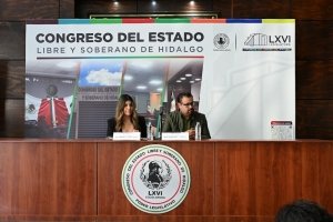Proponen reconocer s&iacute;mbolos y crear bandera de Hidalgo
