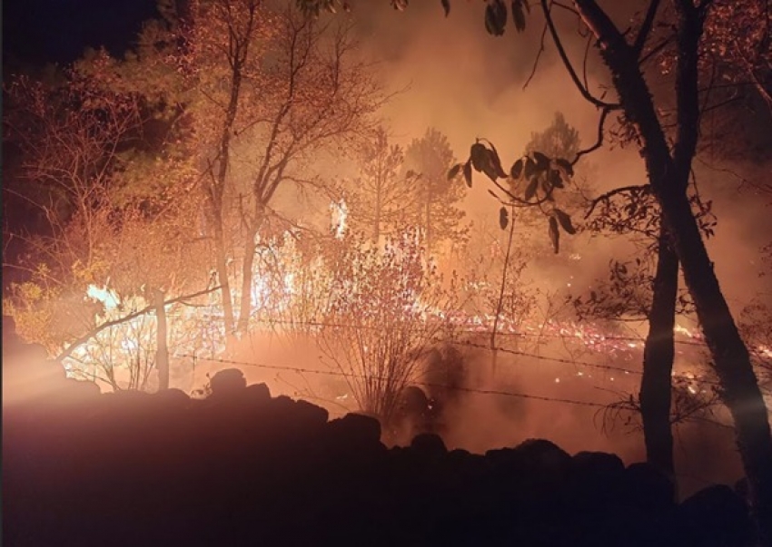 PGJEH abre carpeta por incendio en Mineral del Chico