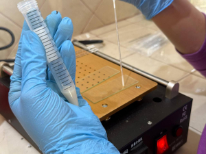 Realiza titular de Saderh supervisi&oacute;n a sementales ovinos en Singuilucan