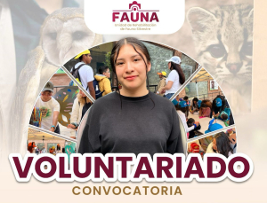 Convocan a j&oacute;venes interesados por el bienestar y educaci&oacute;n animal