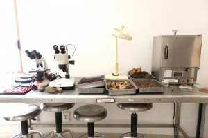 Banco de Germoplasma Forestal, pilar para la conservaci&oacute;n y reforestaci&oacute;n en Hidalgo