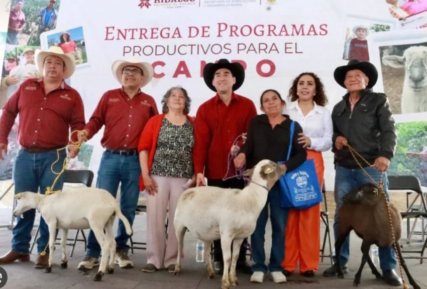 Apoyos al campo impulsan la productividad de ocho municipios de la Sierra y Huasteca