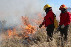 Inician l&iacute;neas negras para evitar incendios forestales