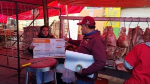 Acciones de vigilancia sanitaria a establecimientos que procesan carne para consumo humano en la Jurisdicción sanitaria Tulancingo