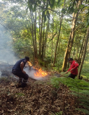 Incendios en el municipio de Tlanchinol