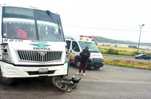 Transporte p&uacute;blico impacta motocicleta en la M&eacute;xico-Pachuca