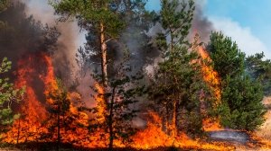 Emiten recomendaciones para evitar incendios y riesgos en semana santa