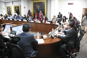 Proponen que zonas escolares cuenten con servicio de psicolog&iacute;a