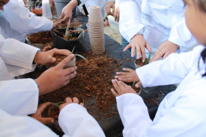 Segunda edici&oacute;n de "Aventuras Cient&iacute;ficas"