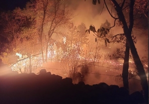 Se reportan dos incendios &ldquo;relevantes en Ju&aacute;rez Hidalgo y Nicol&aacute;s Flores