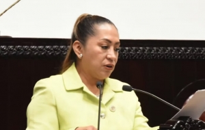 Diputada Guadalupe Cruz Monta&ntilde;o solicita licencia temporal al cargo
