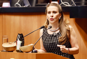 Senadora Carolina Viggiano propone sancionar la violencia política digital
