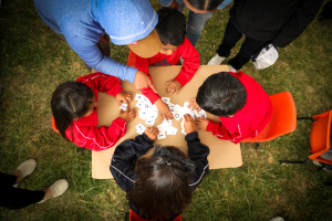 D&iacute;a Mundial de la Infancia, 20 de noviembre