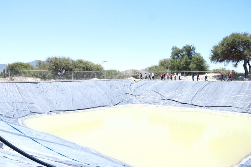 Saderh fortalece a productores de Cardonal