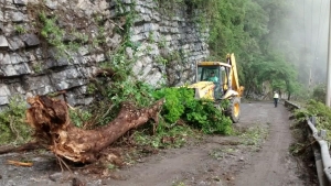 Retiro de un &aacute;rbol que cay&oacute; como consecuencia de las constantes lluvias y retiro de ca&iacute;dos en el municipio de Huehuetla.