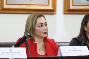 El ex alcalde Sergio Baños falló, no el PRI