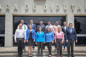 Participa Despacho del Gobernador en consulta&nbsp;para legislar en favor de las personas con TEA