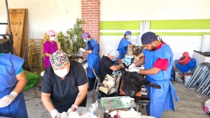 Hidalgo acelera acciones para frenar la rabia y&nbsp;fortalecer la esterilizaci&oacute;n de mascotas