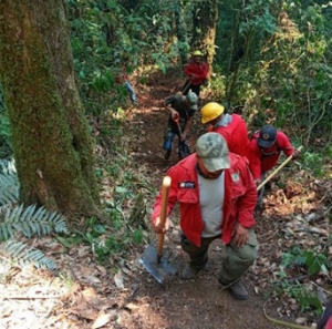 Incendios en San Bartolo Tutotepec y Tenango de Doria&nbsp;se encuentran en fase de confinamiento