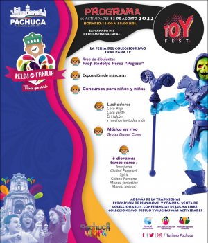 Realizar&aacute;n en Pachuca la Expo-venta de Juguete Vintage y Exhibici&oacute;n de Play Mobil "Toy Fest"