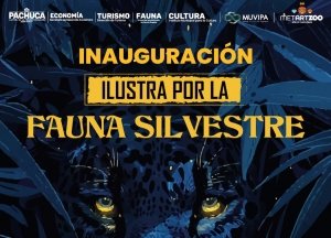 "Ilustra x la Fauna Silvestre" une arte y conservaci&oacute;n de la biodiversidad