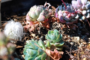 DESCTI invita a recorrer el Sendero de la Ciencia, la Tecnolog&iacute;a y la Biodiversidad