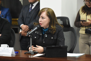 Aspirantes a candidatos en Hidalgo deber&aacute;n presentar certificado de No Deudor Alimentario Moroso: Diputada Claudia Luna &nbsp;
