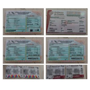 Se asegura banda delictiva dedicada al robo de&nbsp;veh&iacute;culos y clonaci&oacute;n de documentos
