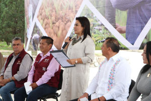 Hidalgo y CORENADR entregan más de 377 mil plantas forestales