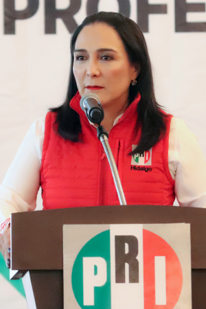 EN EL PRI SE CONSTRUYE CON CIVILIDAD Y MADUREZ POL&Iacute;TICA:&nbsp;ERIKA RODR&Iacute;GUEZ  &nbsp;