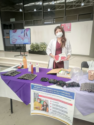 Gu&iacute;a did&aacute;ctica para trabajar la EIS usando herramientas digitales