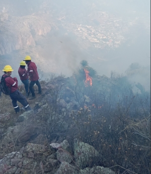SEMARNATH encabeza el combate a incendio de interfaz urbano tipo 3 en la serran&iacute;a de Pachuca