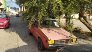 17 veh&iacute;culos por semana notifica Seguridad P&uacute;blica de Pachuca en el programa Operativo Rastrillo  &nbsp;