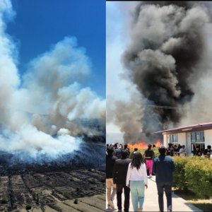 Incendios forestales al por mayor