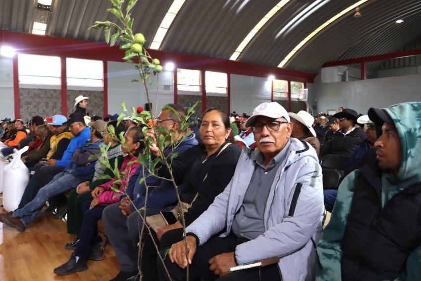 Invierte Hidalgo en fertilidad del suelo, semillas certificadas, repoblación frutícola y rescate del maguey