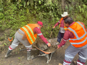 Acciones Conjuntas del Comit&eacute; Estatal de Emergencias por el paso del Hurac&aacute;n Flossie