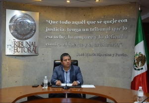 TEEH resuelve reglas inclusivas de postulaci&oacute;n de candidaturas a diputaciones locales y ayuntamientos