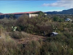 Localizan a dos hombres sin vida en San Agust&iacute;n Tlaxiaca