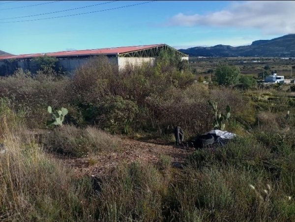 Localizan a dos hombres sin vida en San Agust&iacute;n Tlaxiaca