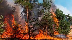 Pide Semarnath a estudiantes prevenir incendios forestales  